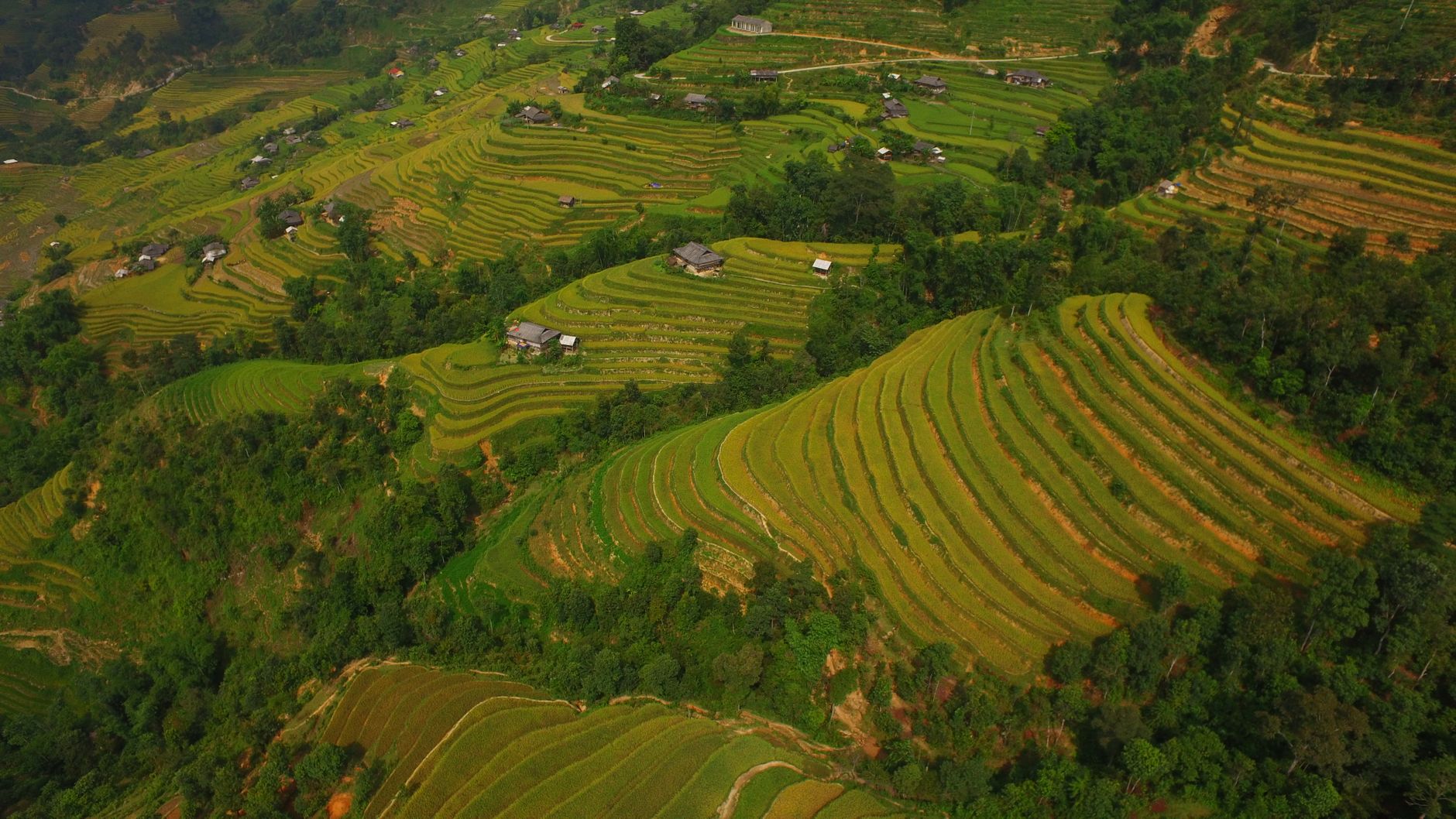 Ruộng bậc thang Hà Giang