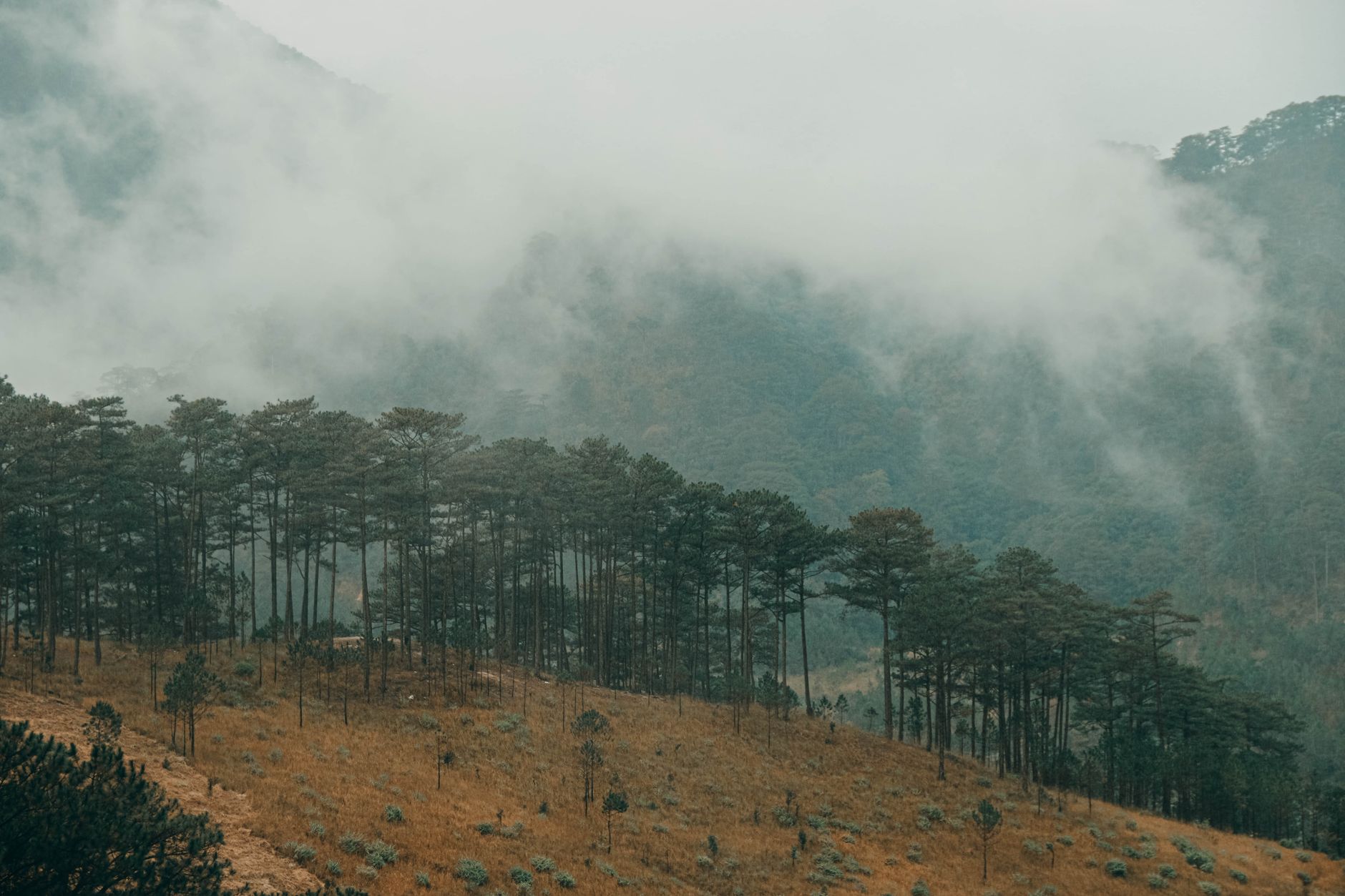 Cảnh đẹp Tà Xùa mùa thu