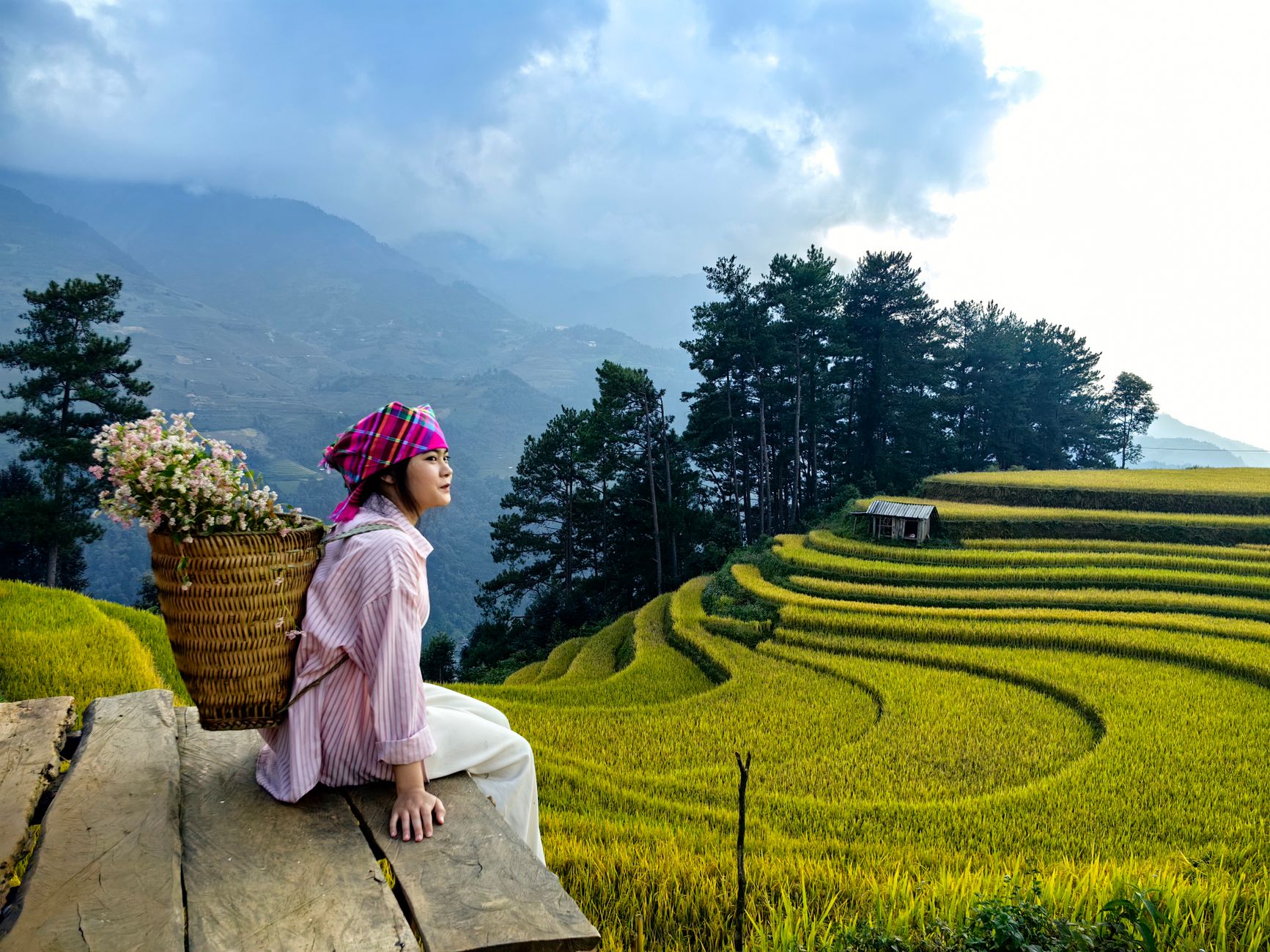 Đồi Mâm Xôi