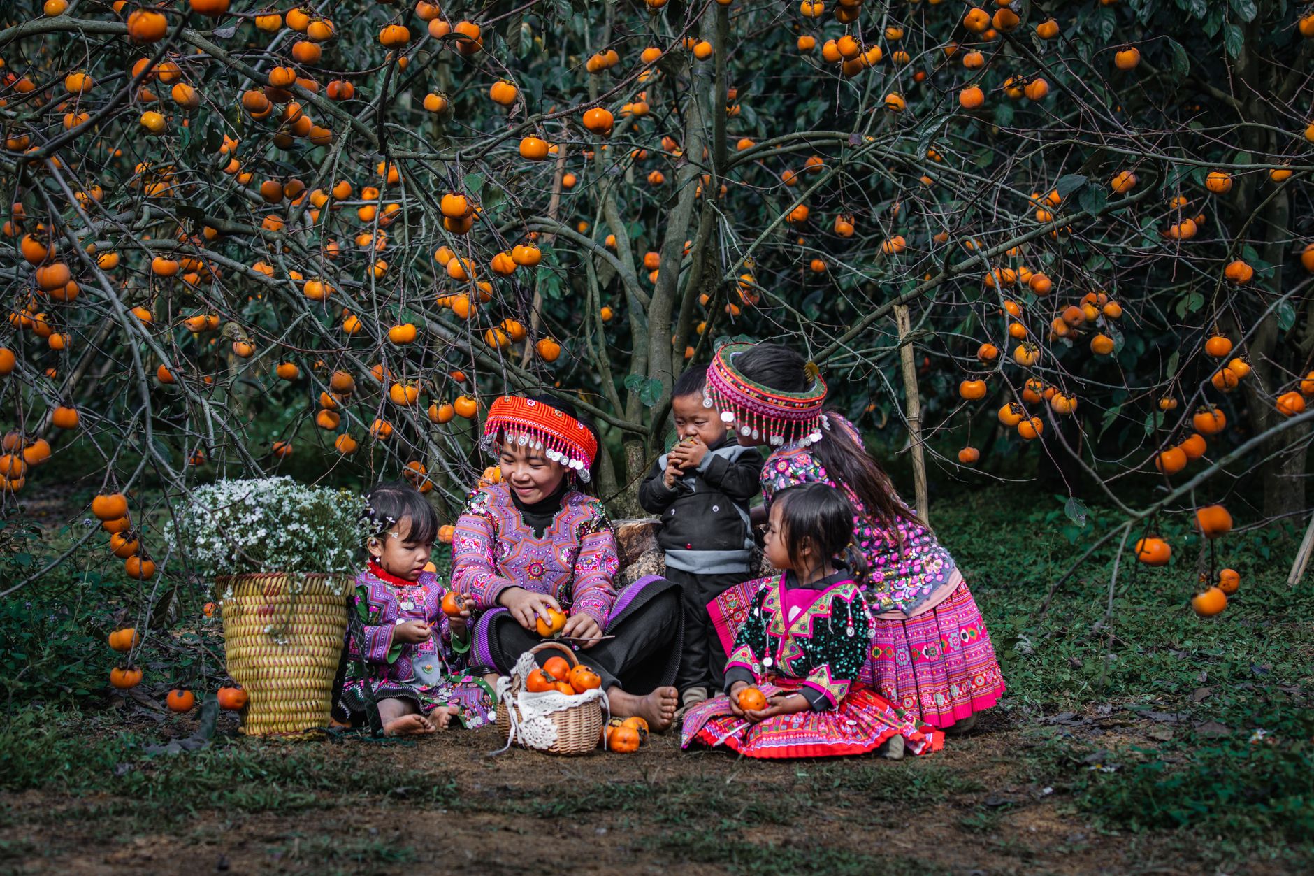 Hang dơi Mộc Châu