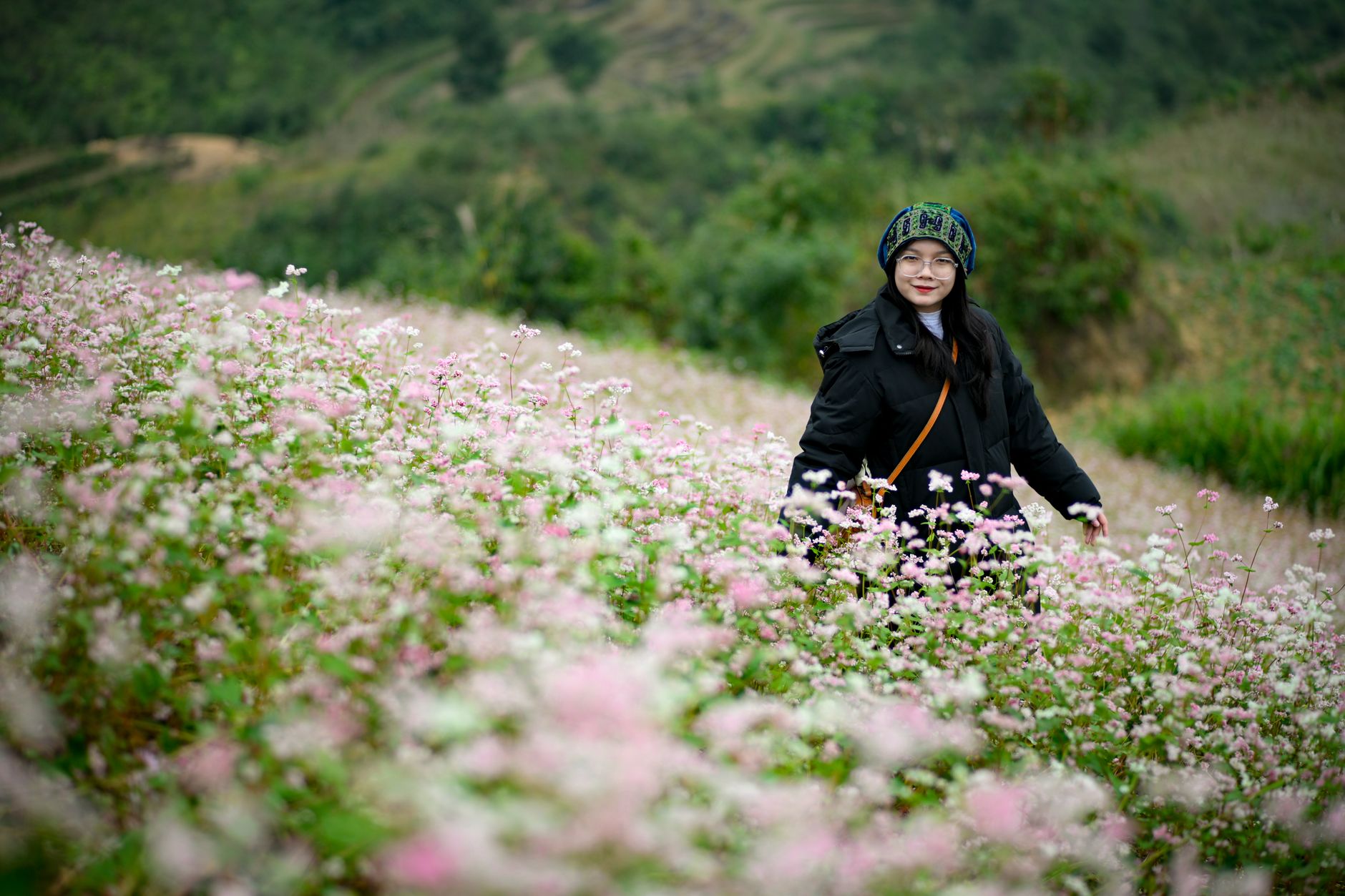 Hoa tam giác mạch Hà Giang