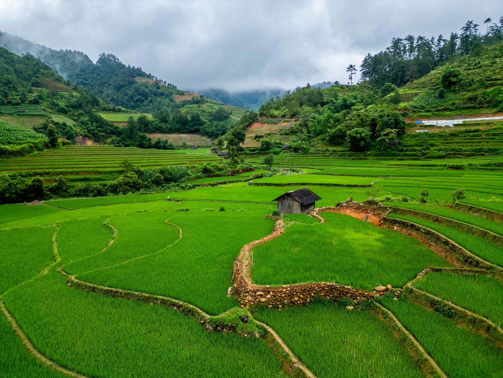 Bản Thái Mù Cang Chải