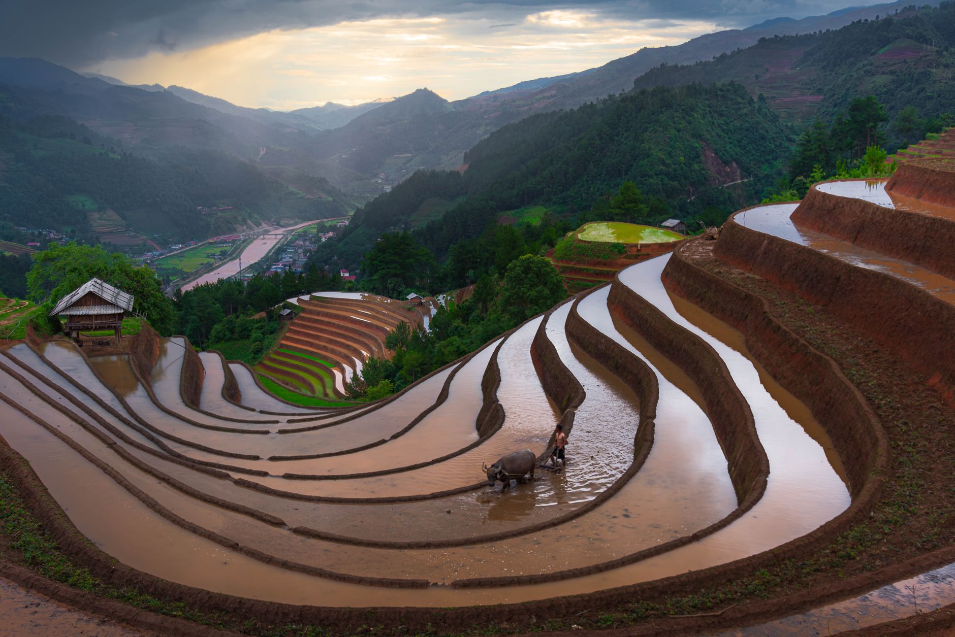 Ruộng bậc thang Mù Cang Chải